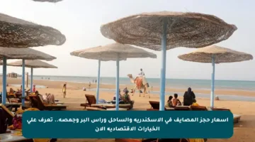 أسعار حجز المصايف في الإسكندرية والساحل ورأس البر وجمصة.. تعرف على الخيارات الاقتصادية الآن